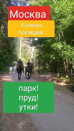 Москва. Конная полиция. Парк . Утки . пруд