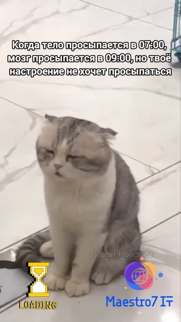 💻 Утро, доброе утро ☀️