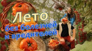 5 ГЛАВНЫХ глупостей на даче летом