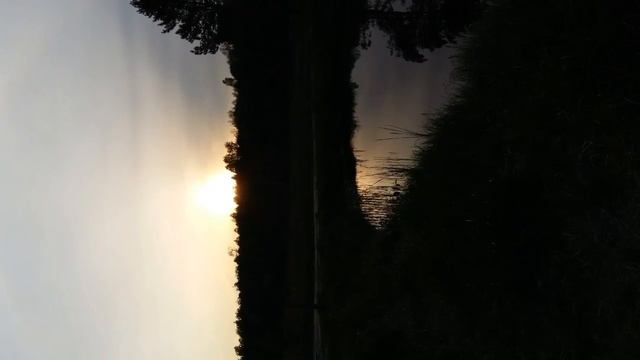 Времена года смотреть онлайн