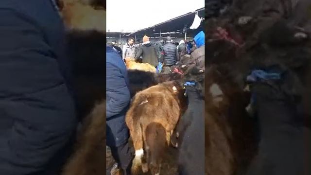 ЭФИР АЗ МОЛБОЗОР ХУДЖАНД 2 март