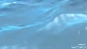 Реклама Samsung Wave 2010