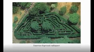 44 Инфознайка 2020. Начальный уровень (1-2 кл.) №6