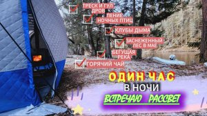 Лучшее место для ретрита|Так невозможно спать|Без слов|Ночное пение птиц|Треск дров