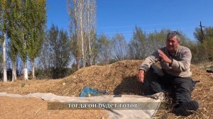 УЗГЕНСКИЙ РИС-ЭТАЛОН ДЛЯ ПЛОВА. КАК СУШАТ И МОЛОТЯТ ЗН?