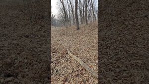 Славянские Силы рядом