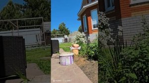 Невыспавшаяся еду работать на сады
