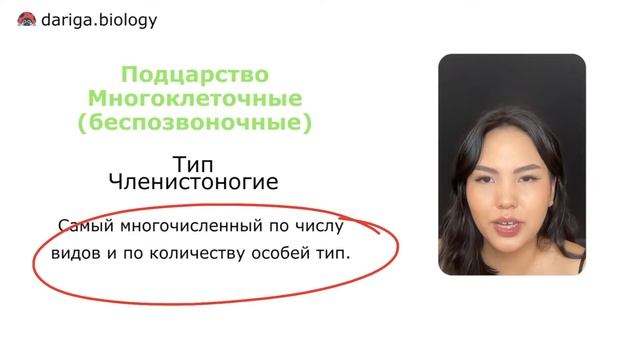 Марафон по зоологии для ЕНТ по биологии смотреть онлайн