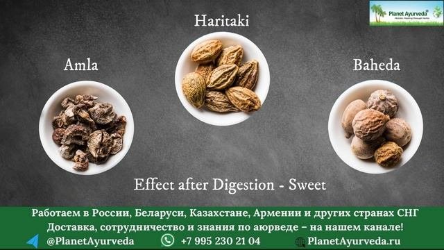 Трифала – мощное аюрведическое средство для очищения