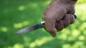 Тело зарезанного подростка нашли у дороги в Новосибирской области