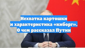 Нехватка картошки и характеристика «киборг». О чем рассказал Путин