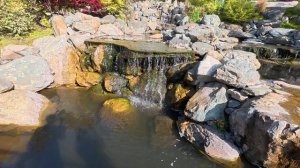Японский сад Парка Галицкого, Краснодар