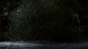 Книга джунглей 2016 FULL HD на русском0036