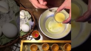 Приготовление древнейшей краски - яичной темперы