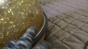 Обзор на пылесос Вихрь ЭП-5