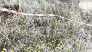 Участок ИЖС 43,81 сот., Мистолово