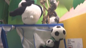 Обзор Икея  Китай Далянь продолжение!