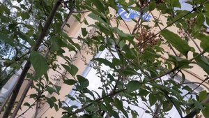 Поздравляем с днем рождения Юра 60 юбилейный