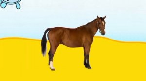 побег от ковбоя наггетса