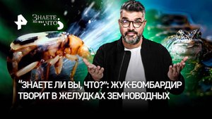 “Знаете ли вы, что?” лягушка может взорваться в любой момент! Кто выворачивает бедолагу изнутри?