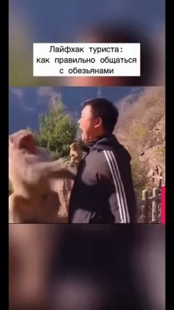 Учи китайский с моим блогом тгк：pm_chinese