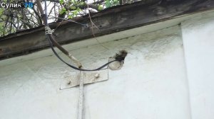 Когда заработает источник воды?