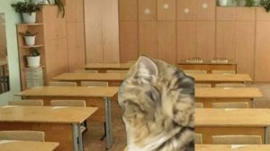 Пов обычный учебный день