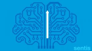 Нейропластичность мозга