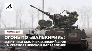 Огонь по «Валькирии»! Зенитчики сбили украинский дрон на Красноармейском направлении
