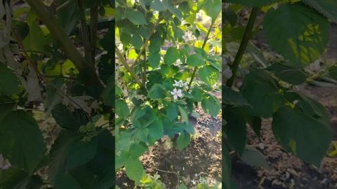 #путь_домой_краснодарский_край2025