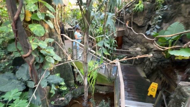 Нью-Йорк Зообағы🗽🐻🌳 смотреть онлайн