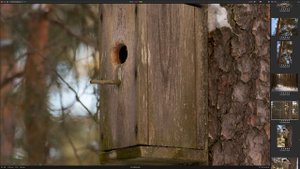 Sigma 70-200mm F2.8 DG DN Sports. Хороша, но не на все 100%