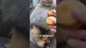 Жадность