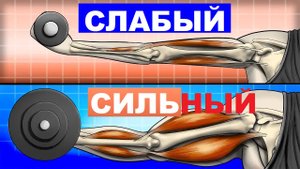 7 причин, по которым Вам следует поднимать ТЯЖЕСТИ