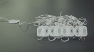 Светодиодный модуль с линзой MAKSILED HL | Светодиодные модули для рекламы | IP67 led 12v rgb smd