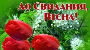 С последним днём весенним. Музыкальная открытка поздравление.