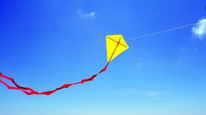 Запуск змея на 50 метров