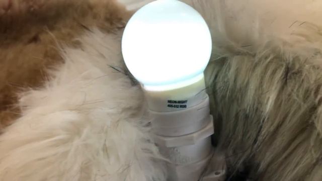 Лампа для Белт Лайт LED RGB, 45 мм, Е27, 1 Вт, RL-BL-E27-G45-RGB