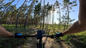 Осмотр круга. Вариант 2. Думали будет легче? не угадали...)