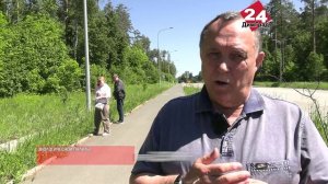 Хвойные прижились, а лиственница частично погибла