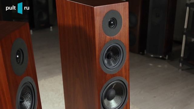 Davis Acoustics Courbet 7  для тех кто обожает акустические зап?