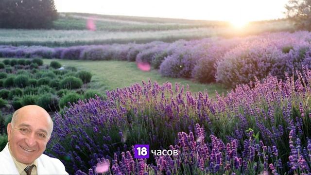 Янтарная кислота — польза, вред и как правильно прини? смотреть онлайн