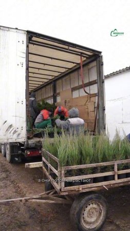 Из нашей земли — в ваши проекты 🌱