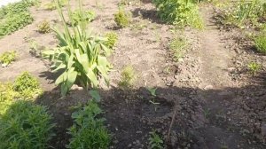1000020645.mp4
Влог.Наша повседневная жизнь (65)