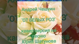 'ОТ БЕЛЫХ РОЗ' (кавер, Андрей Чешуин)