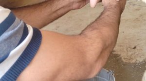 ГОВИ ФУРӮШИ,  КАРПАТИ ТОЗА НАВОР АЗ @КОДИРОВСАИДБУРХОН