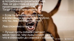 Лев и собака