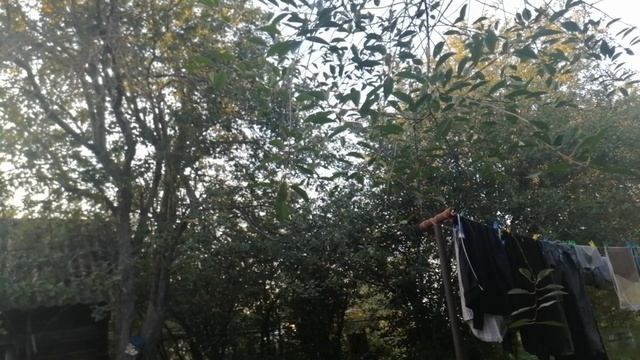 не покупай блоки питания Deepcool pf смотреть онлайн