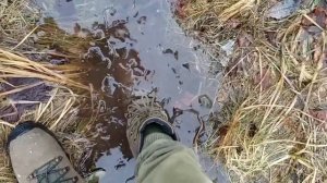 ботинки Фарадей 1085 тест на воду