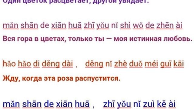 роза м